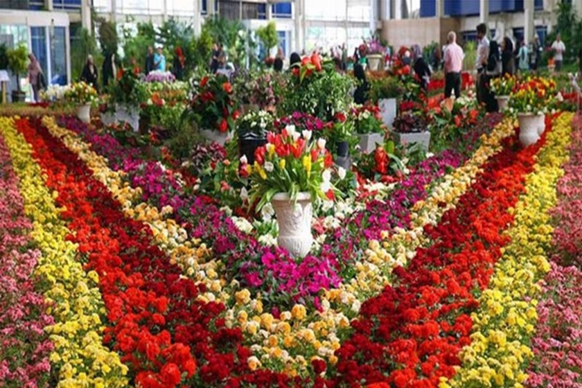 جشنواره گل و گیاه عیدانه شیراز